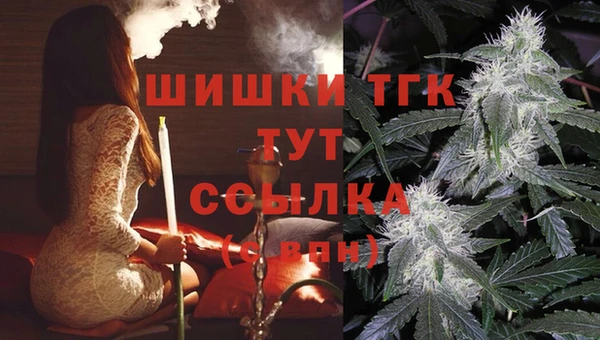 ПСИЛОЦИБИНОВЫЕ ГРИБЫ Дмитров