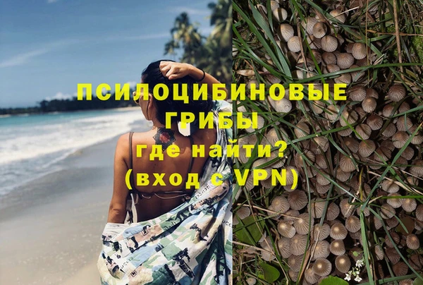 ПСИЛОЦИБИНОВЫЕ ГРИБЫ Дмитров