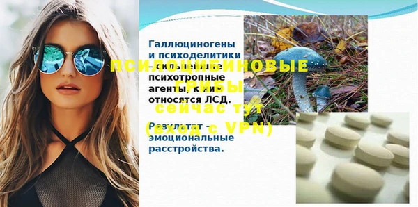 скорость Дмитриев