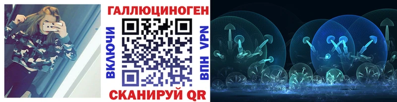 Купить где  Любань  Псилоцибиновые грибы Cubensis 